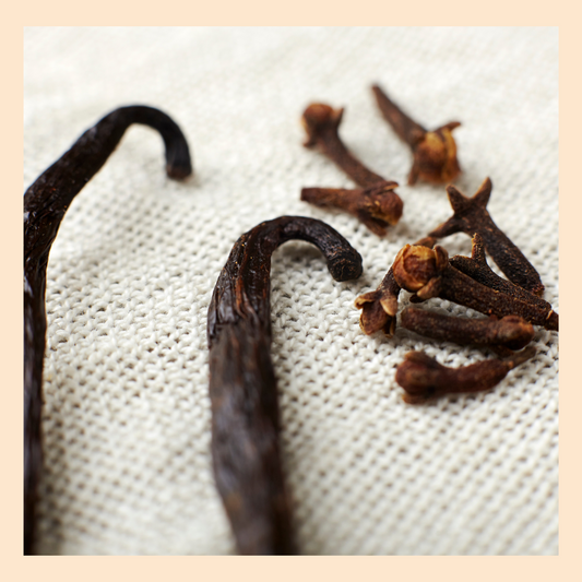 TurmeriX™| What is an Antioxidant?