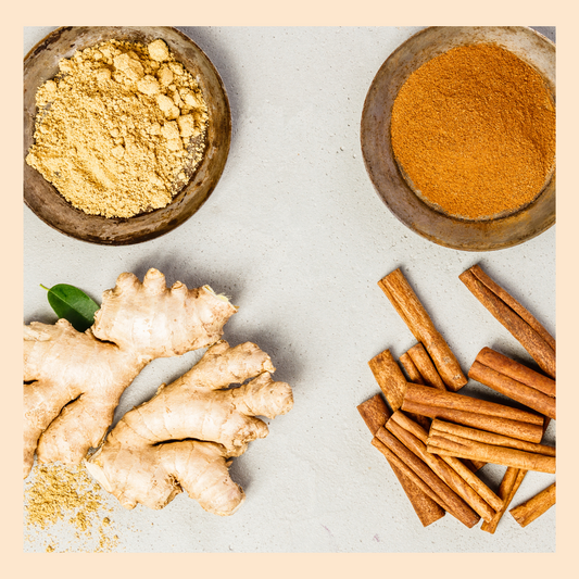 TurmeriX™| What is an Immune System booster?